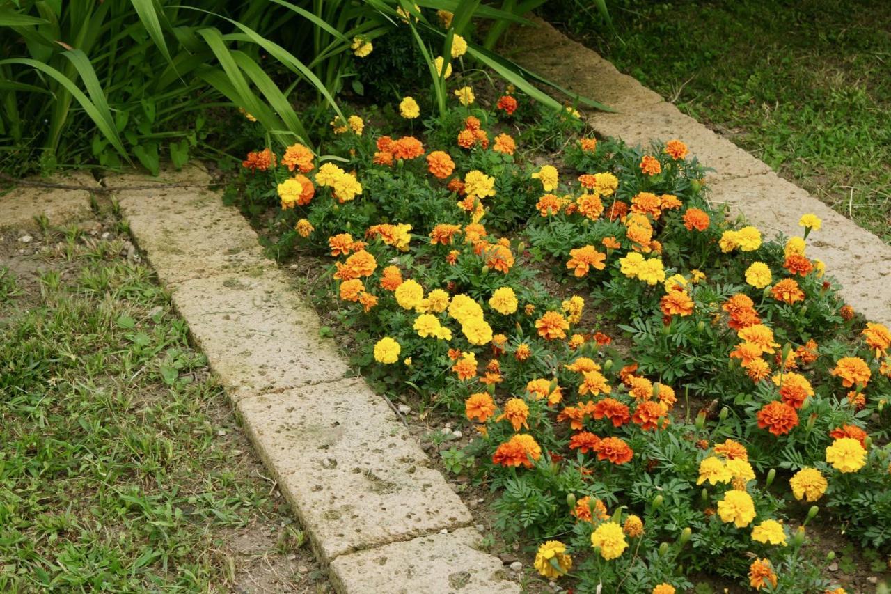 B&B The Secret Garden Buia Εξωτερικό φωτογραφία